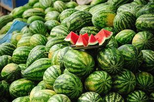 网红大瓜排行 吃瓜网51官网版,吃瓜网51官网版带你领略热门事件风云